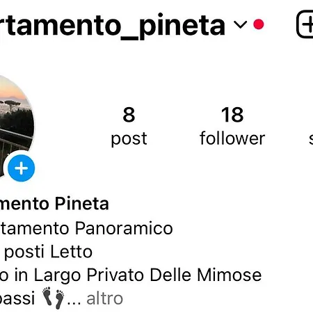 Pineta Apartament *